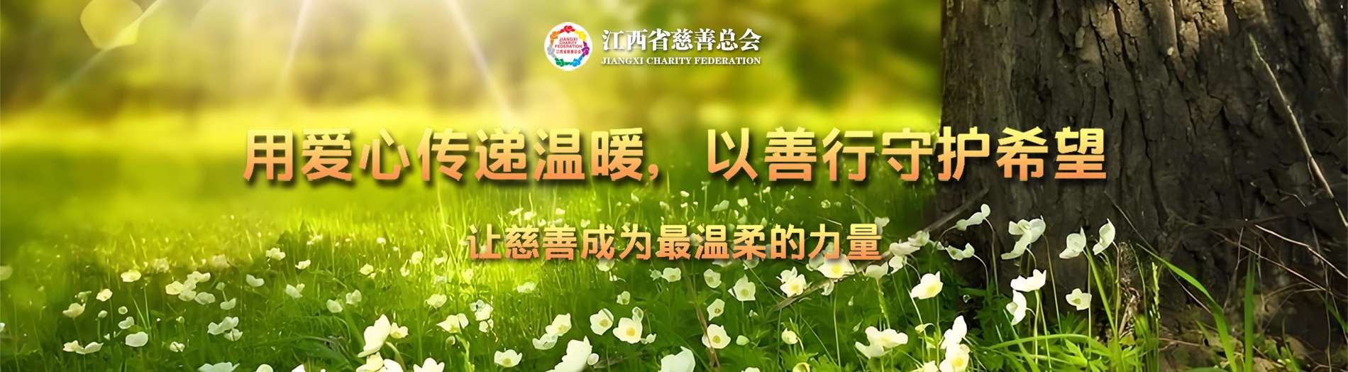 官网轮播图