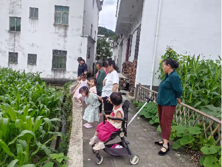 段莘乡2.png