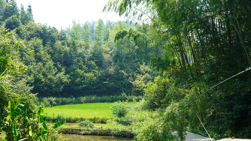 微信图片_2.jpg 微信图片_2.jpg