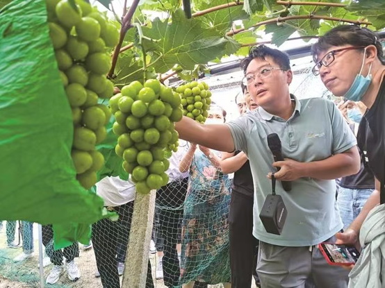 剪辑_3.jpg
