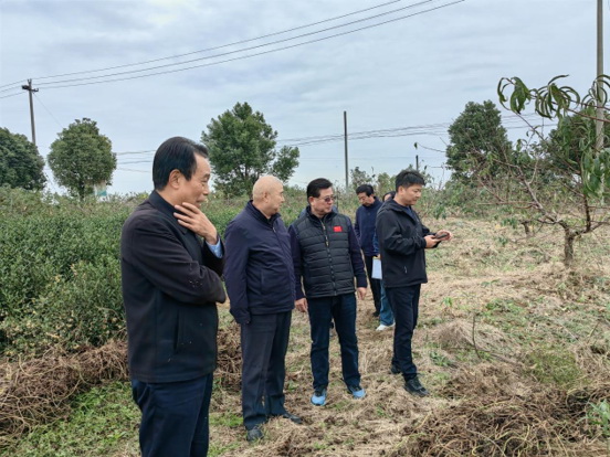 丹阳-4.jpg 丹阳-4.jpg