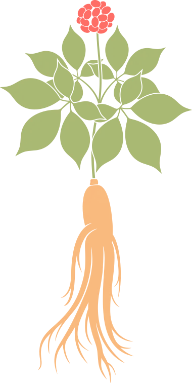 5.png